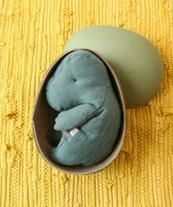 Maileg Dinosaur'gantosaurus' In Egg Toy - Small