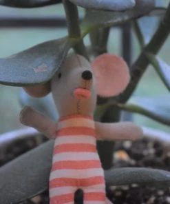 Maileg Baby Mice Triplets In Matchbox